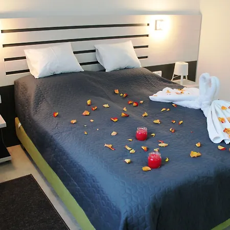 Garni 11tica Dm 호텔 노비사드