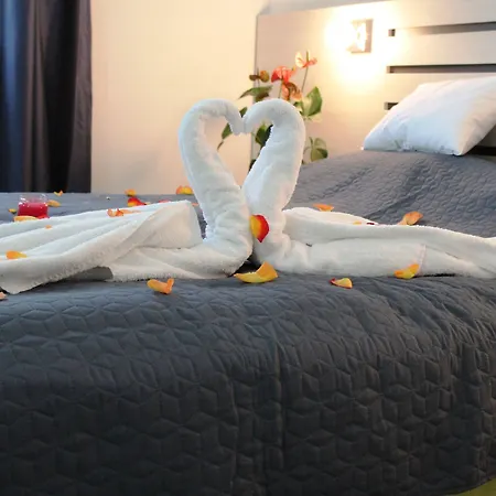 Garni 11tica Dm 호텔 노비사드