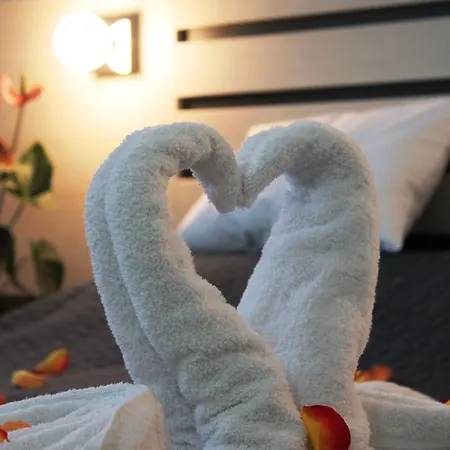 Garni 11tica Dm 호텔 노비사드