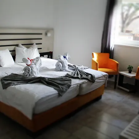 Garni 11tica Dm 노비사드