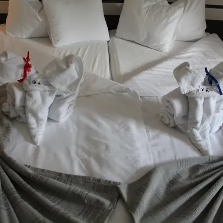 Garni 11tica Dm 3* 노비사드