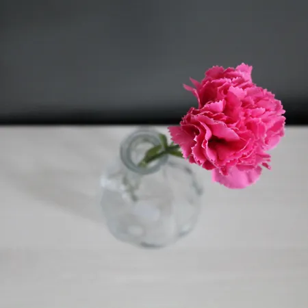 호텔 Garni 11tica Dm